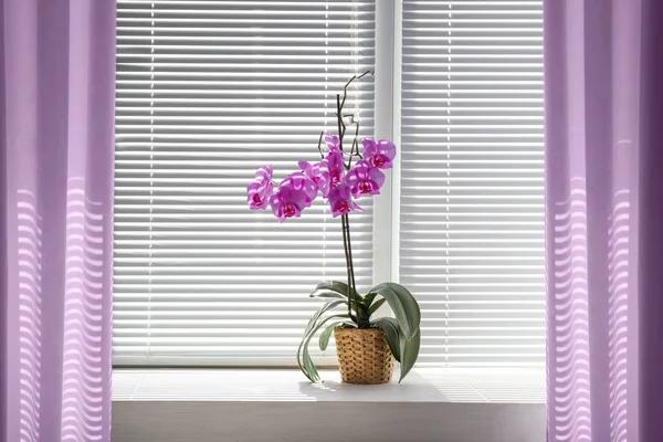 Choosing the Right Window Blinds for Light Control and Privacy